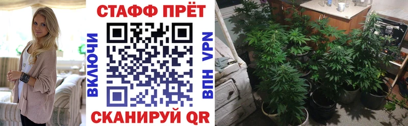Хочу наркоту Усмань Гашиш МАРИХУАНА СК Меф мяу мяу